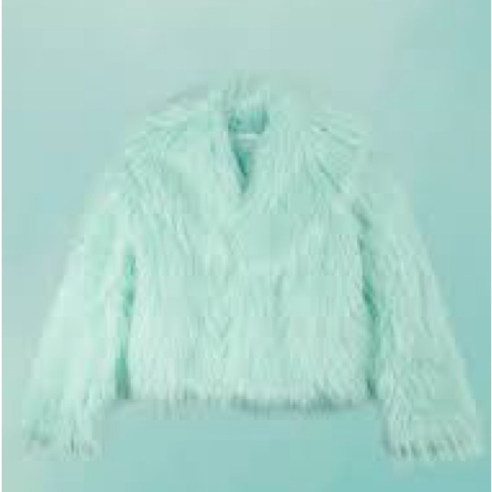 Taylor Swift Mint Green Fluffy Jacket